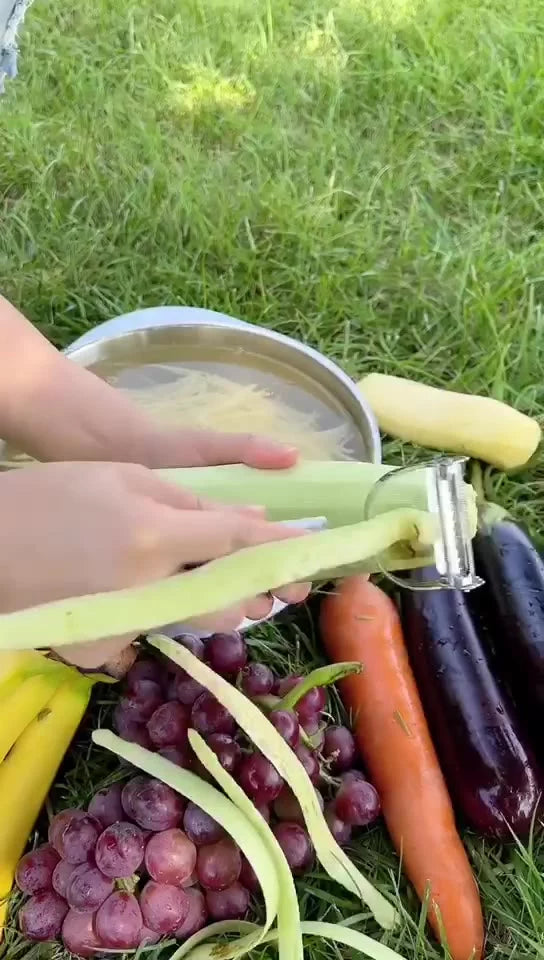 Descascador INOX Legumes Frutas Dupla Lâmina Móvel 2 Em 1/Descascador De Legumes Verduras Frutas promoção