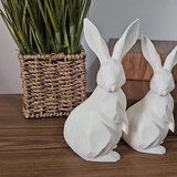 2 Coelhos Pascoa Decoração Moderna